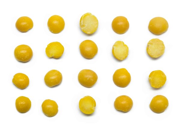 ¿Cómo evitar que mi perro coma demasiado rápido y se atragante?